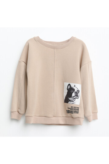 Nanica 1-5 Yaş Erkek Sweatshirt  321329