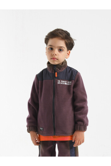 Nanica 1-5 Yaş Erkek Sweatshirt  321308