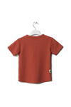 Nanica 6-16 Age Boy Tshirt  123311