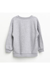 Nanica 1-5 Age Boy Sweatshirt  321329