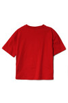 Nanica 6-16 Age Boy Tshirt  122308