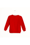 Nanica 6-16 Age Boy Sweatshirt  323309